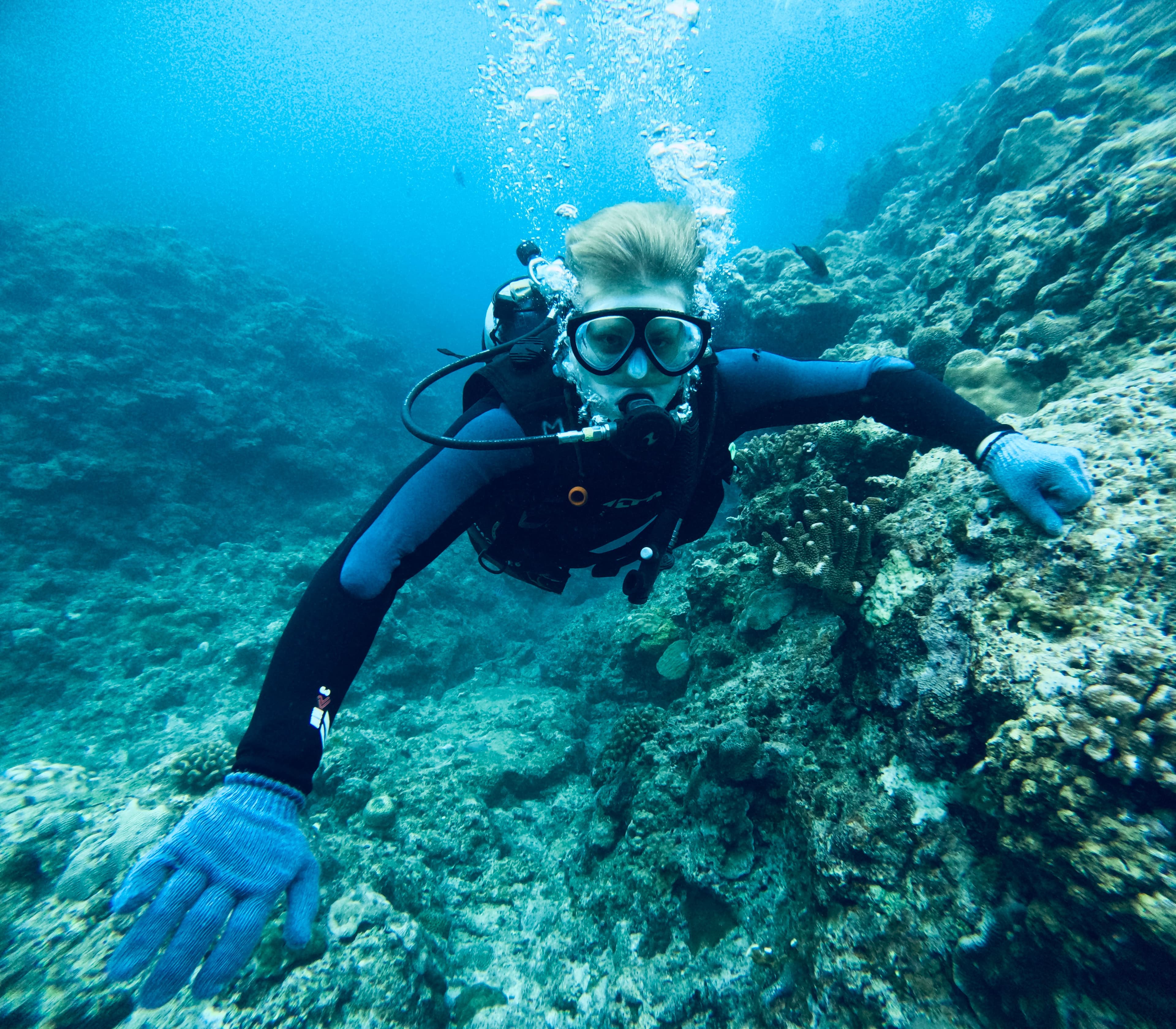 The Blue Cave of Okinawa